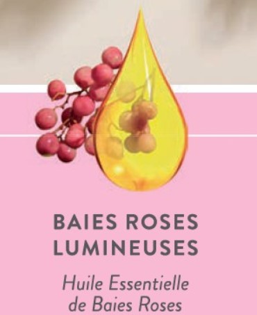 Baies roses lumineuses